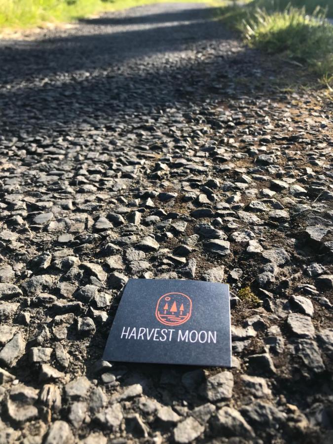 Harvest Moon Acomodação com café da manhã Doolin Exterior foto